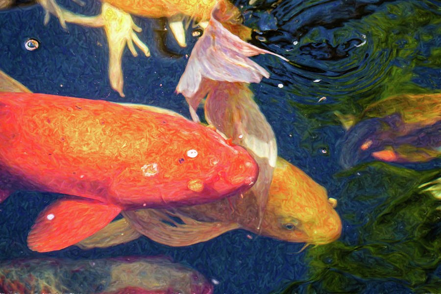 Koi Pond Fish - Pretty In Pink - by Omaste Witkowski by Omaste Witkowski