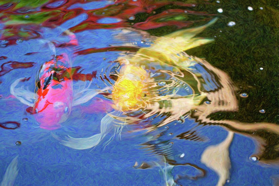 Koi Pond Fish - Swirling Emotions - by Omaste Witkowski by Omaste Witkowski