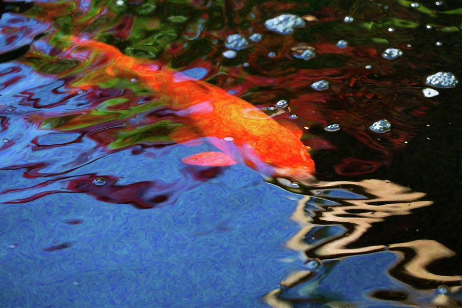 Koi Pond Fish - Vibrant Dreams - by Omaste Witkowski by Omaste Witkowski