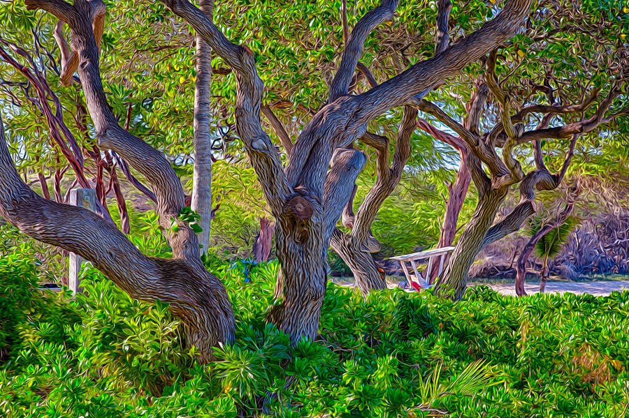 Lifeguarding Trees by Omaste Witkowski