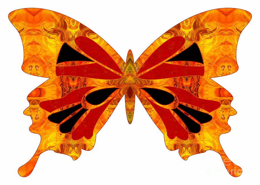 Living Patterns And Abstract Butterflies by Omashte by Omaste Witkowski
