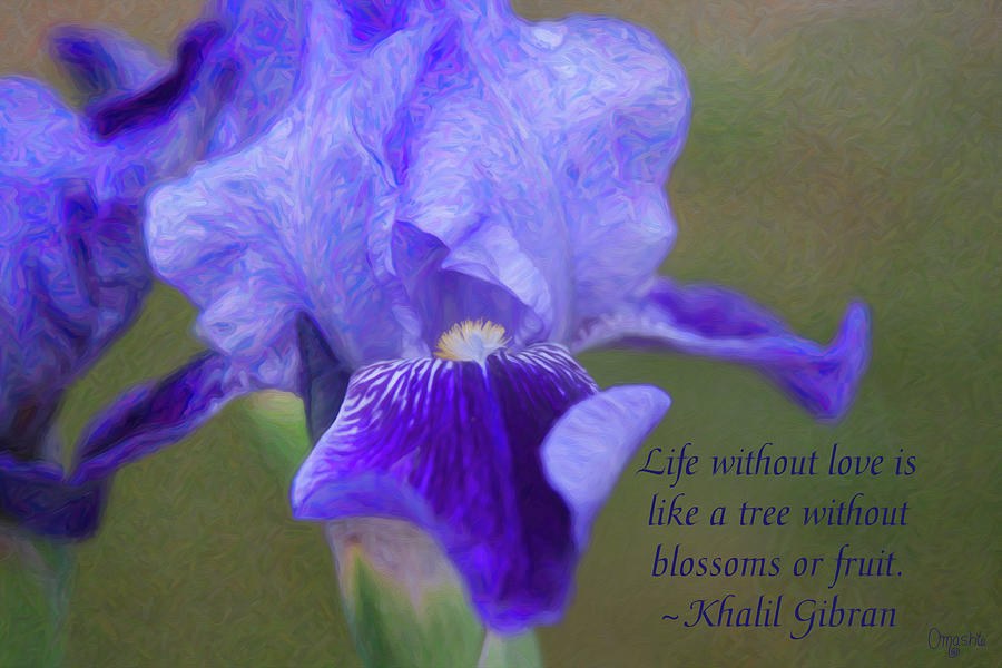 Loving Life - Motivational Flower Art by Omaste Witkowski by Omaste Witkowski