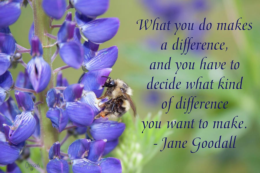 The Difference You Choose - Bumblebee on Purple Lupine by Omaste Witkowski