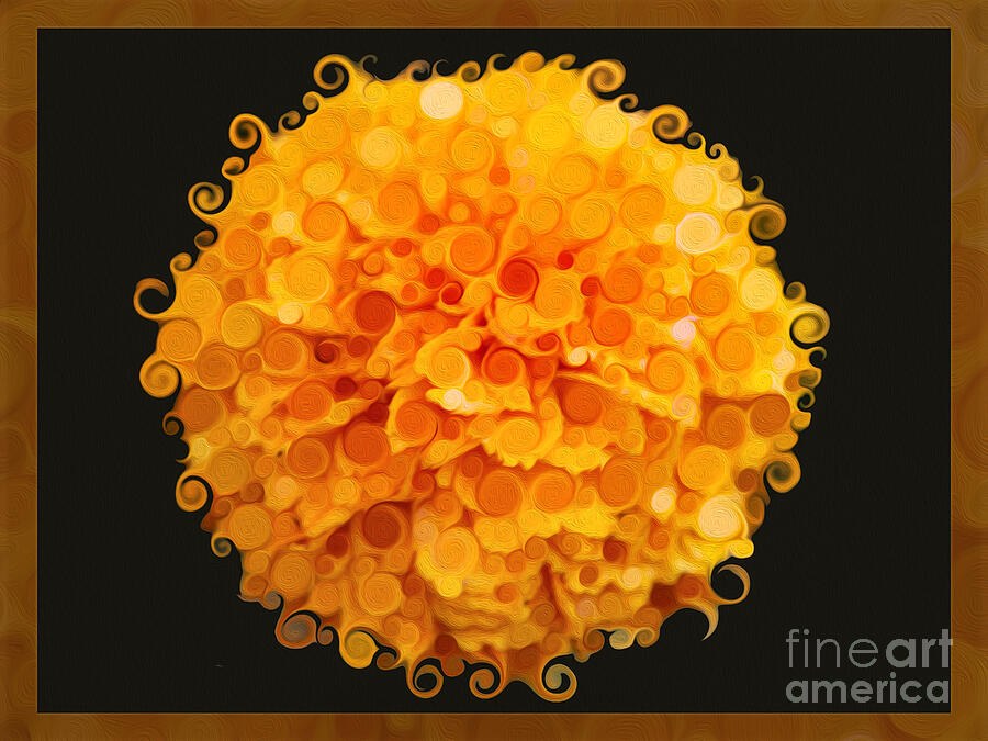 Spiral Sun Bloom, Orange Flower on Black by Omaste Witkowski