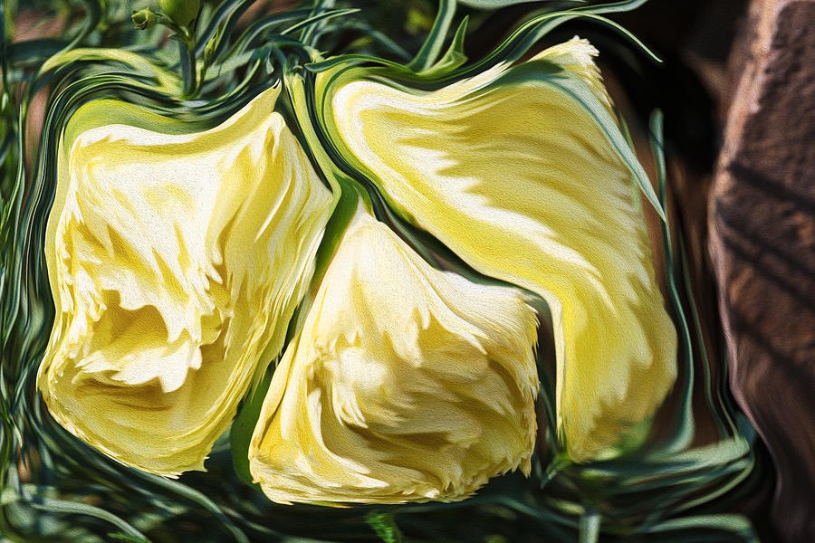 Marigolds in Spring by Omaste Witkowski
