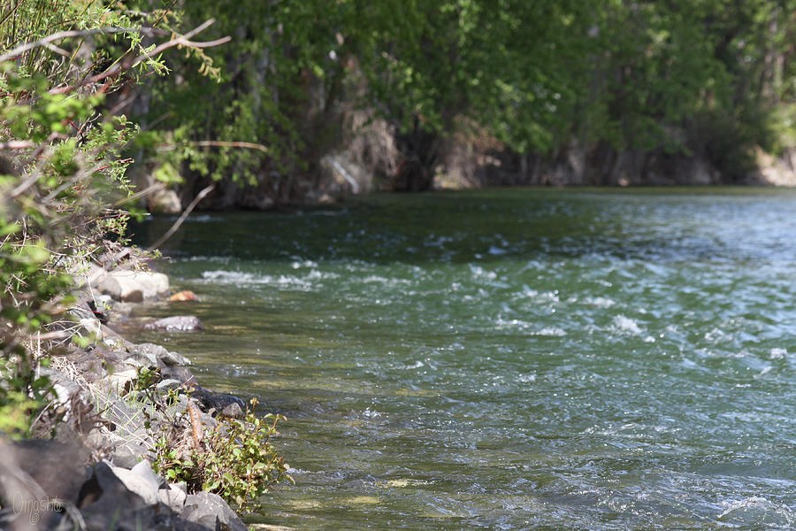 Methow River in Early Spring by Omaste Witkowski