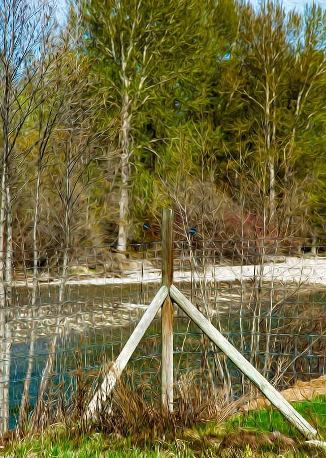 Methow River Springtime by Omaste Witkowski