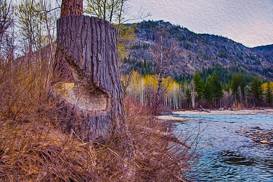 Methow Riverbank by Omaste Witkowski
