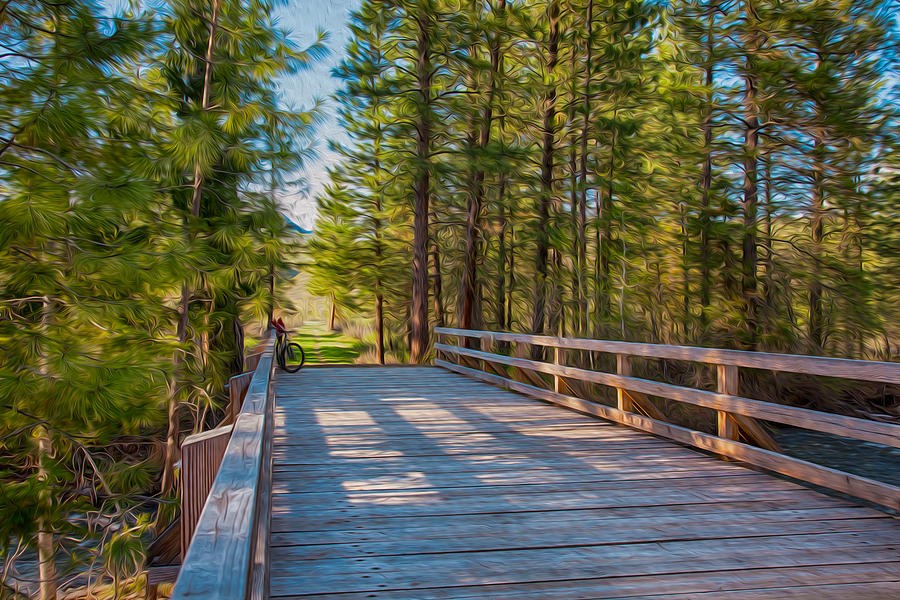 Parked at the Pines, Footbridge Into the Forest by Omaste Witkowski