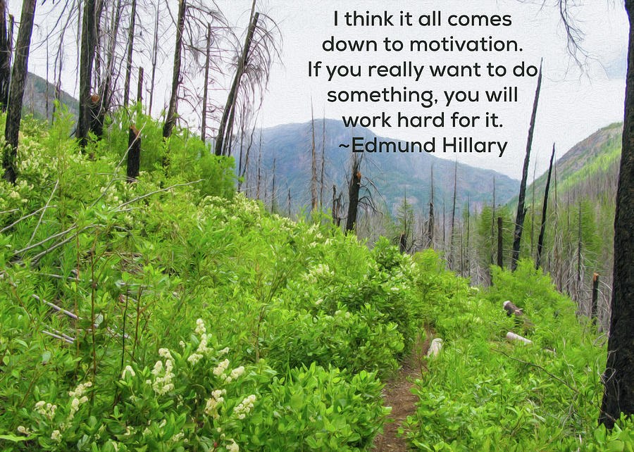 Motivational Nature - Nature Art by Omaste Witkowski by Omaste Witkowski