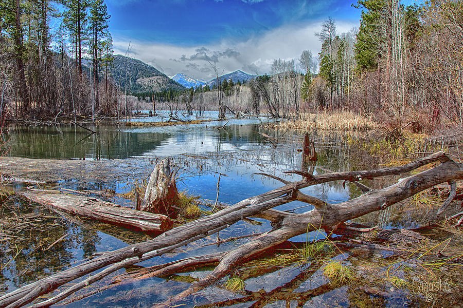 Mt Gardner and Beaver Ponds at Sun Mountain Trails by Omashte by Omaste Witkowski