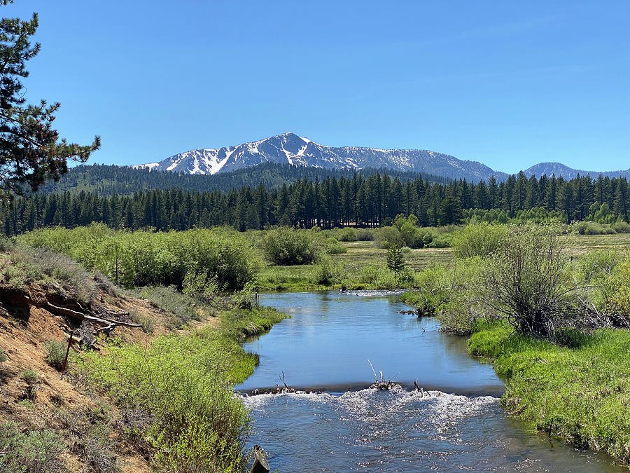 Where the Water Slows, Spring Meadow and Snowy Peak by Omaste Witkowski