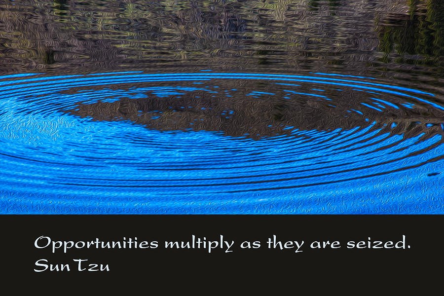 Opportunites Multiplied by Omaste Witkowski
