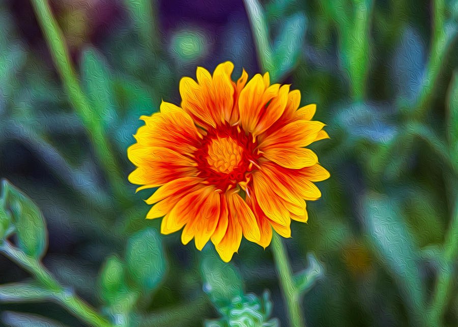 Orange and Yellow Delight by Omaste Witkowski