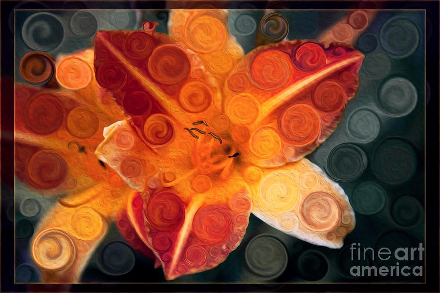 Orange Lily Abstract Explosion of Vibrance by Omaste Witkowski