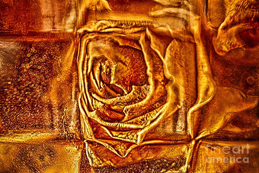 Ember Rose, Gold Embossed Rose in Tiled Panels, flower wall art by Omaste Witkowski