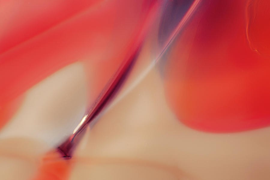Paintbrush by Omaste Witkowski