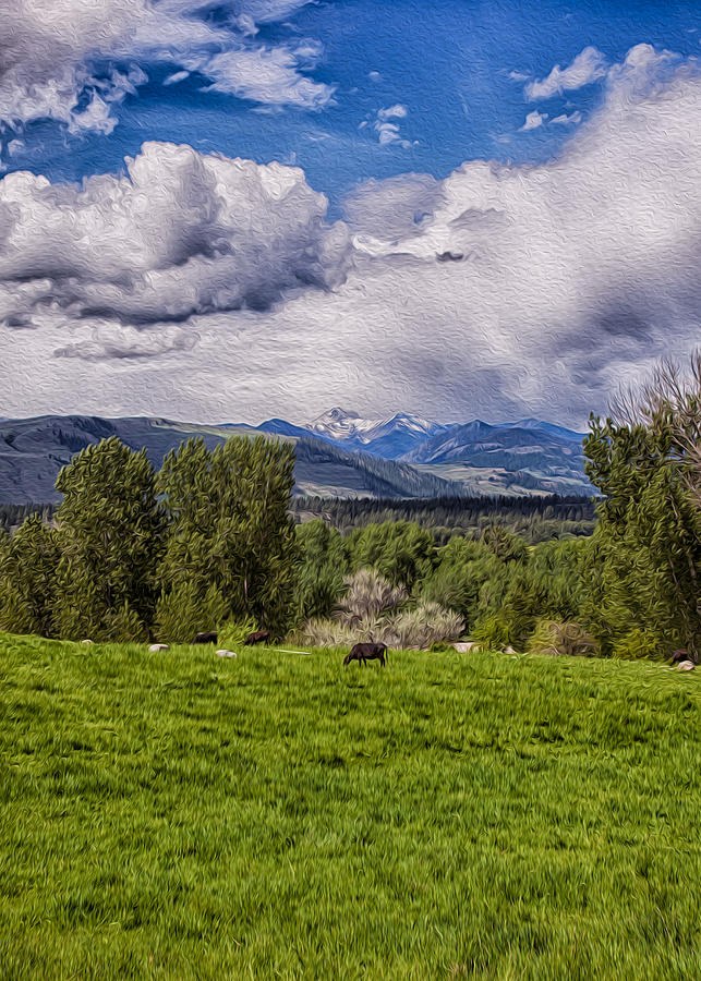 Pastures and Clouds by Omaste Witkowski