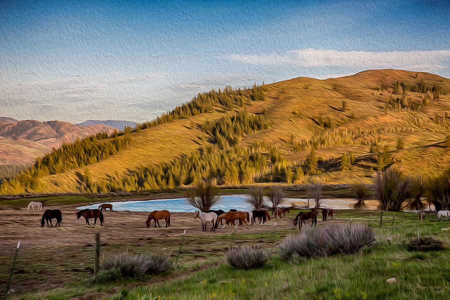 Herd Below the Golden Hill, Painterly Horse Landscape by Omaste Witkowski