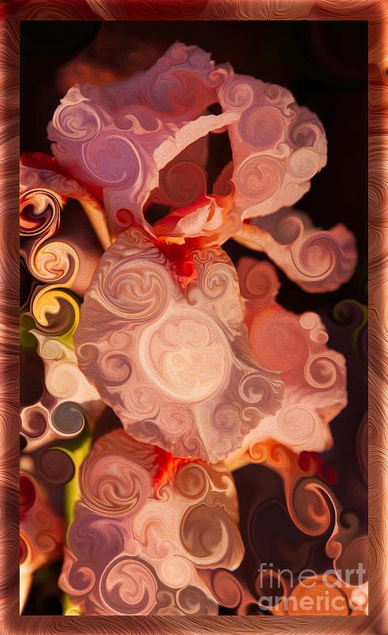 Pink Iris as a Burst of Color Flower Abstract Art by Omaste Witkowski