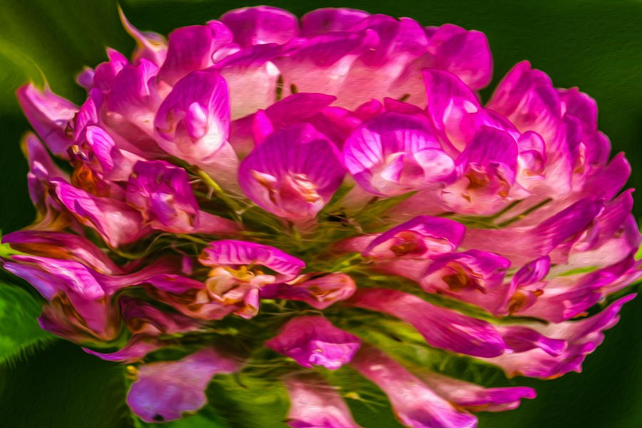 Pink Mystery Flower by Omaste Witkowski