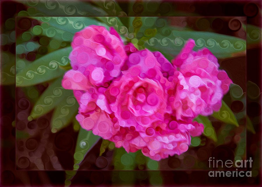 Pink Plumeria Abstract Flower Painting by Omaste Witkowski