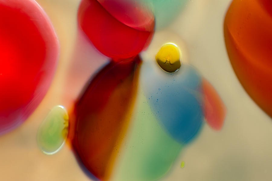 Poppies by Omaste Witkowski