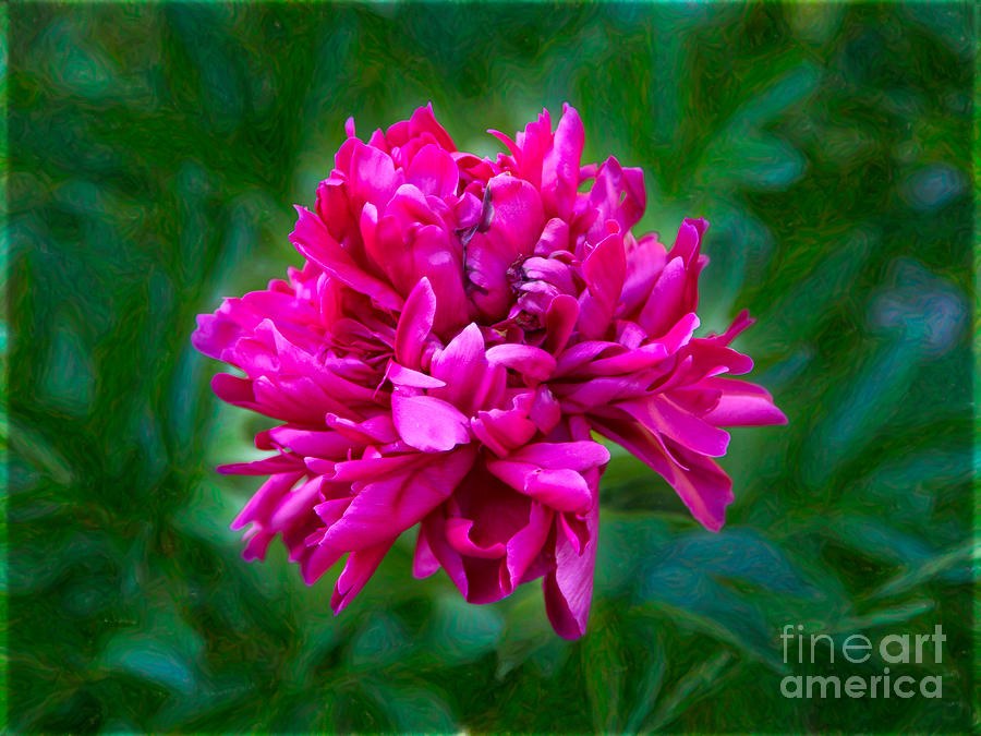 Pretty In Pink Garden Art by Omaste Witkowski by Omaste Witkowski