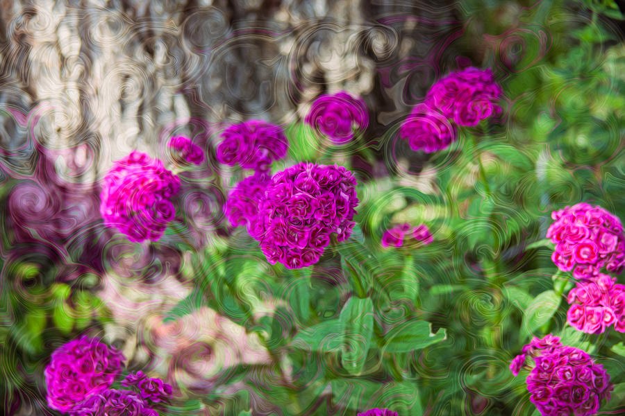 Pretty Pink Petals by Omaste Witkowski
