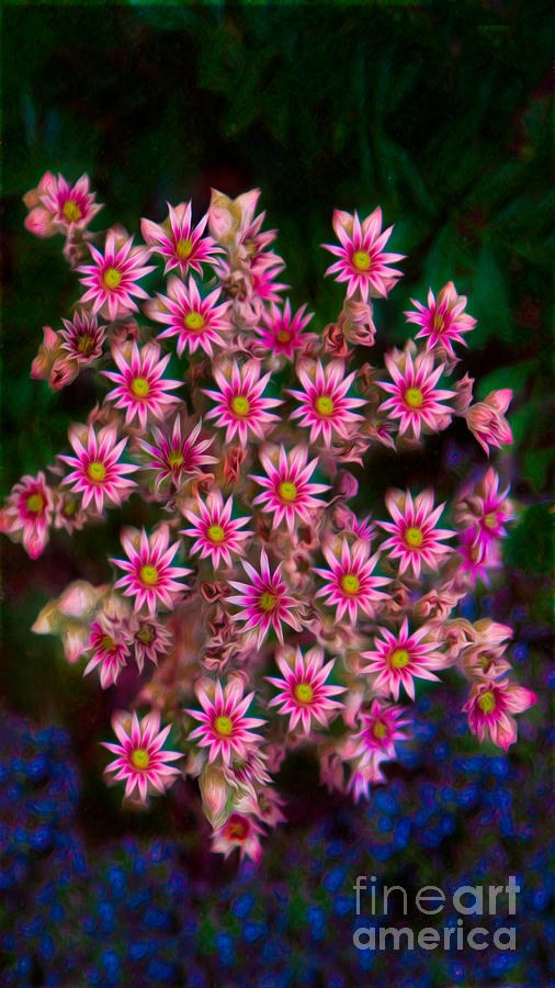 Promising Pink Petals Abstract Garden Art by Omaste WItkowski by Omaste Witkowski