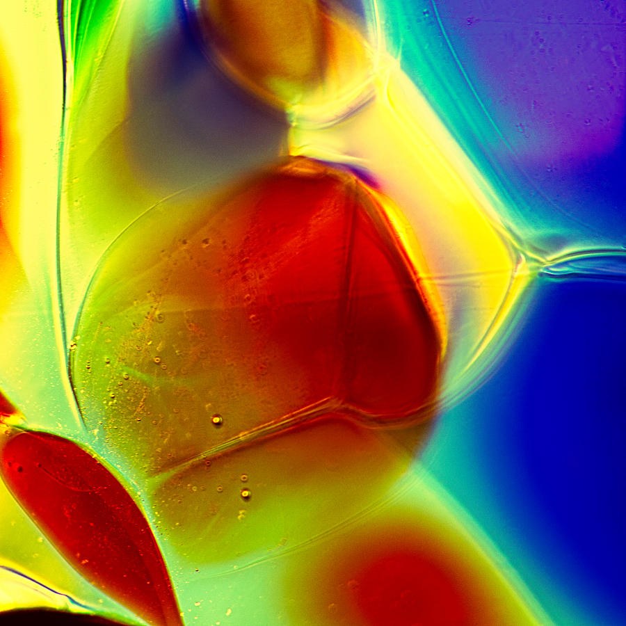 Puppy in Light by Omaste Witkowski