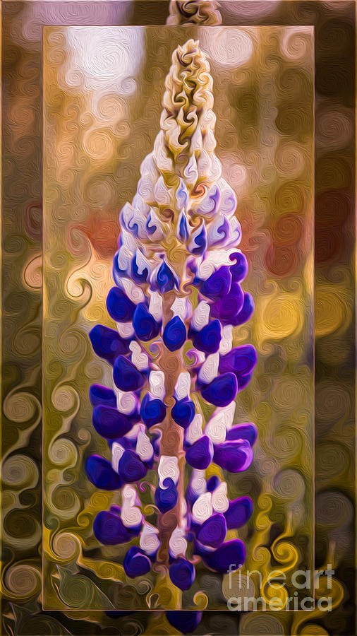 Purple Lupine in the Fall Flower Abstract Art by Omaste Witkowski