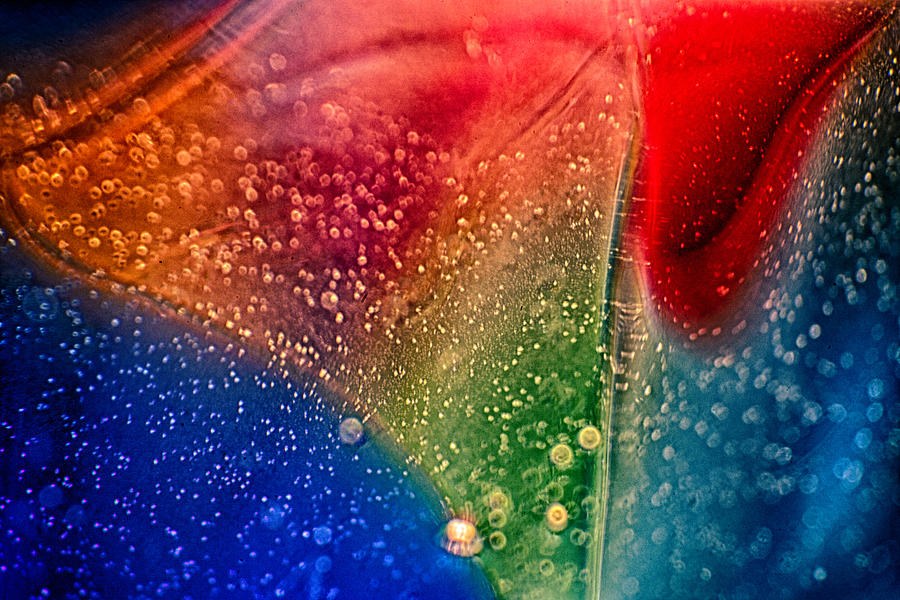 Rainbow Fishtail by Omaste Witkowski