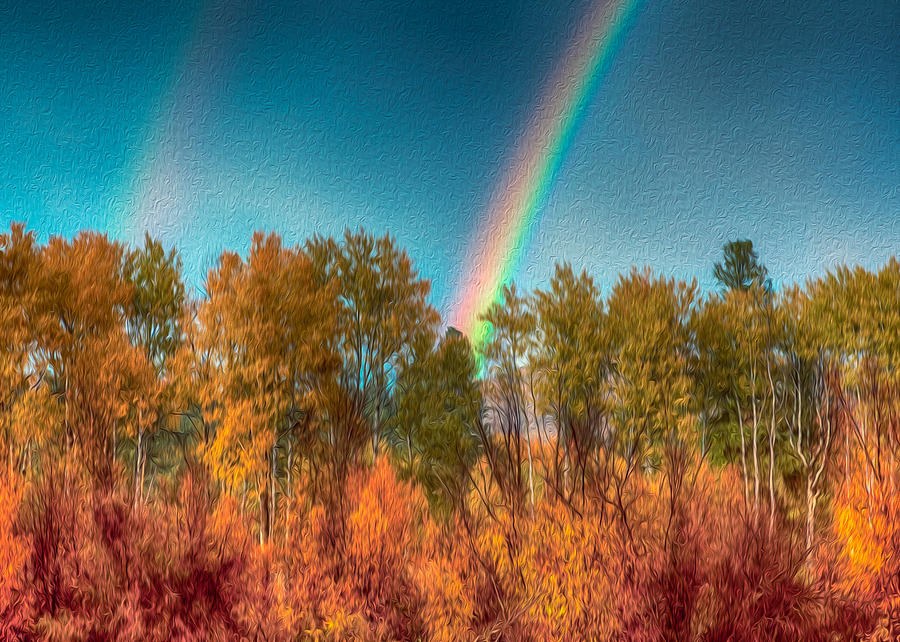 Rainbow Surprise by Omaste Witkowski