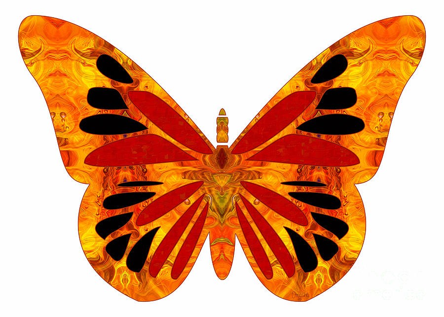 Random Order And Abstract Butterflies by Omashte by Omaste Witkowski