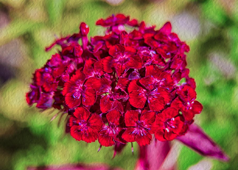 Red Carnations by Omaste Witkowski