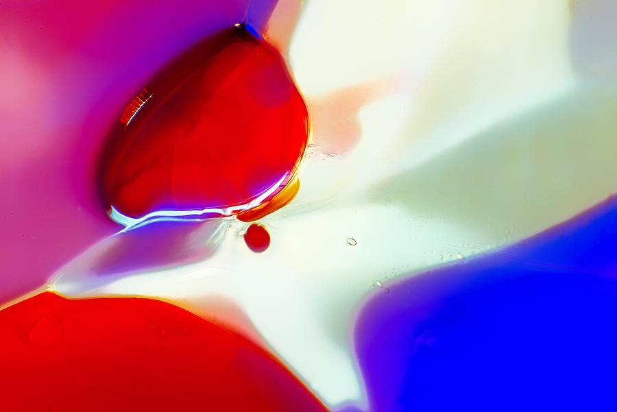 Red White Blue and a Bug by Omaste Witkowski