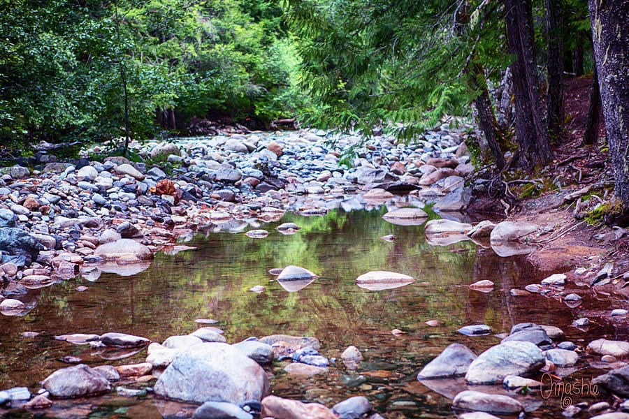 Reflecting Wilderness and Rocky Shorelines Landscape Artwork by by Omaste Witkowski