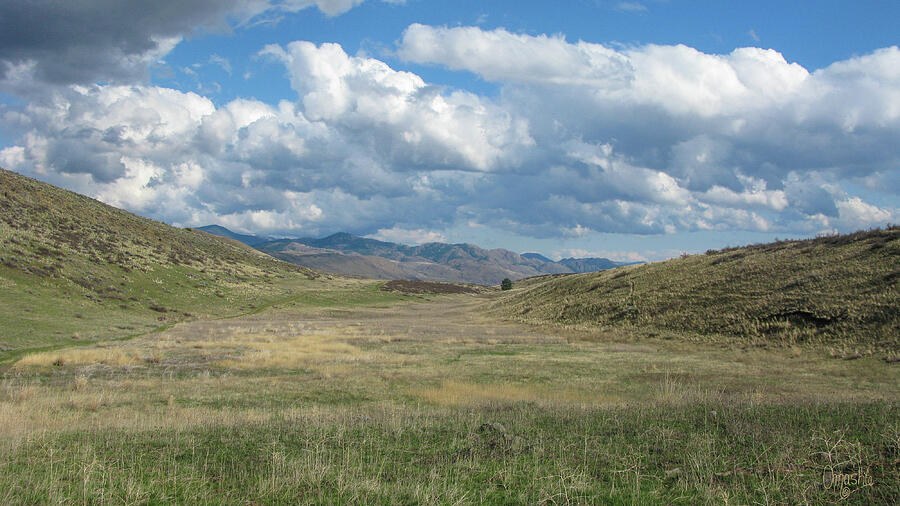 Rendezvous Early Spring Methow Valley Washington Landscape by Omaste Witkowski
