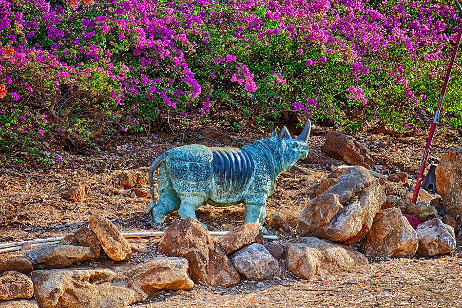 Rhino and Bougainvillea by Omaste Witkowski