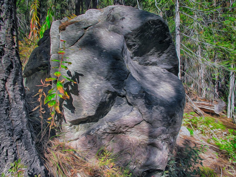Rocky Ancestor by Omaste Witkowski