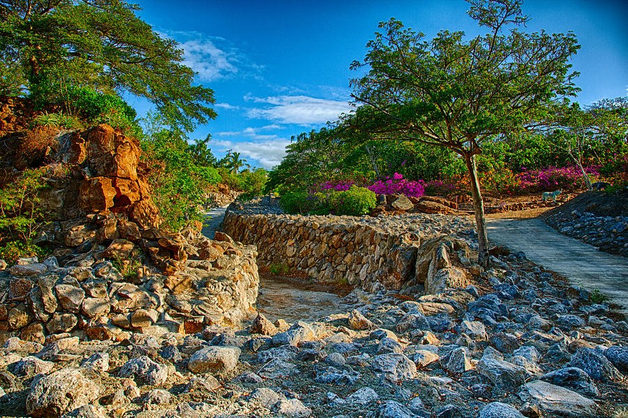 Rocky Garden Walk by Omaste Witkowski