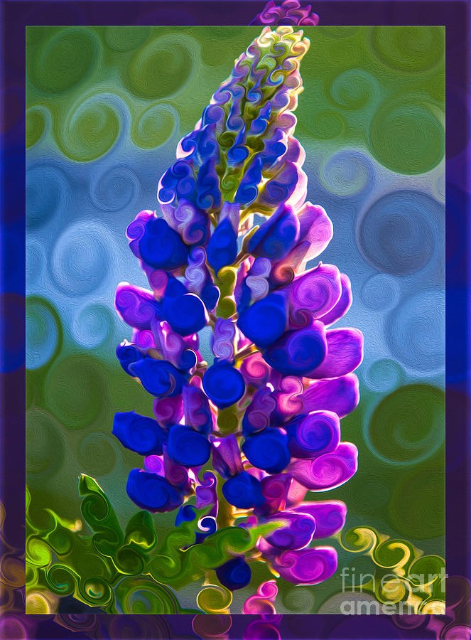 Spiral Lupine, Blue and Violet Flower Spike by Omaste Witkowski