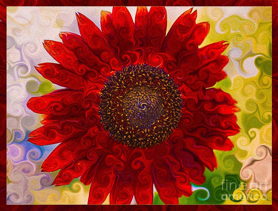 Crimson Curls, Red Sunflower by Omaste Witkowski