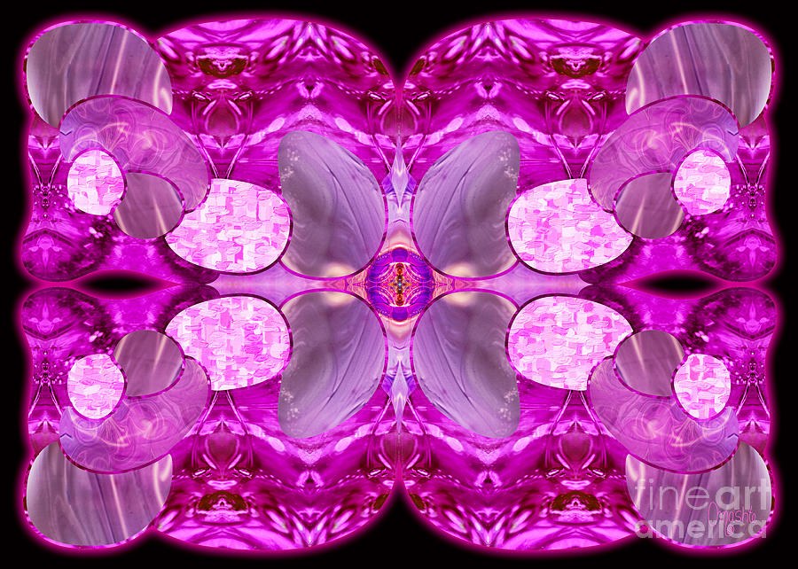 Seashells and Butterflies Abstract Macro Transformations by Omas by Omaste Witkowski
