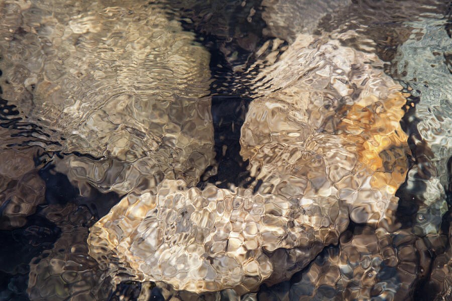 Sleeping Beauties Water Abstract by Omaste Witkowski