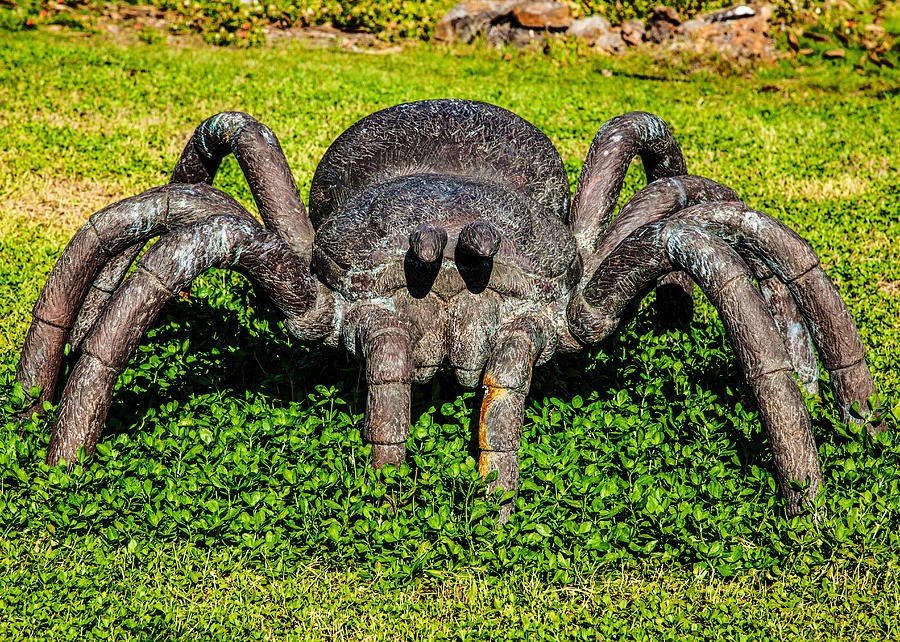 Spider Sculpture by Omaste Witkowski
