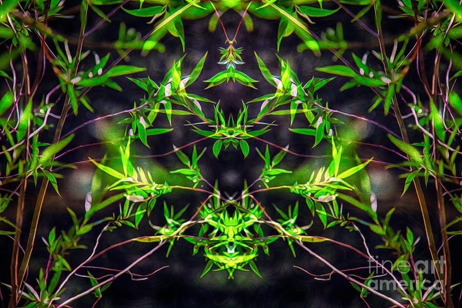 Leaf Totem - Mirrored Green Foliage on Black by Omaste Witkowski