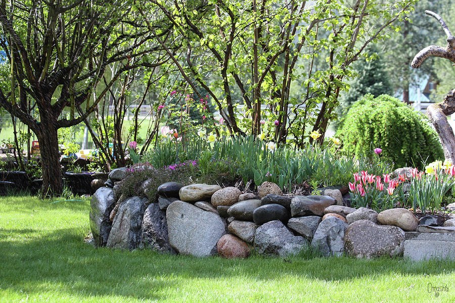 Spring Flower Gardens On Wolf Creek Road by Omashte by Omaste Witkowski