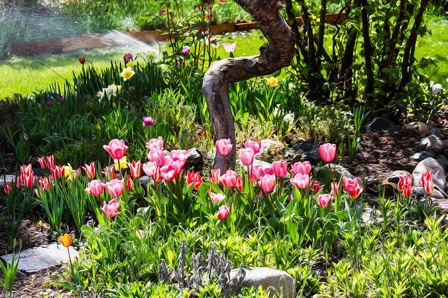 Spring Garden Delight by Omaste Witkowski